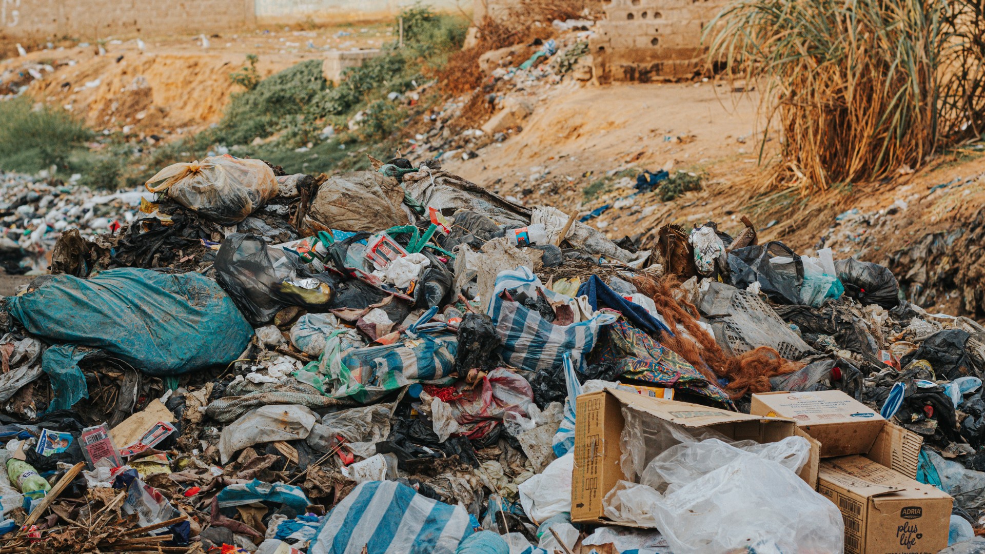 Lots of junk in Bolton, Toronto, ready to be removed.