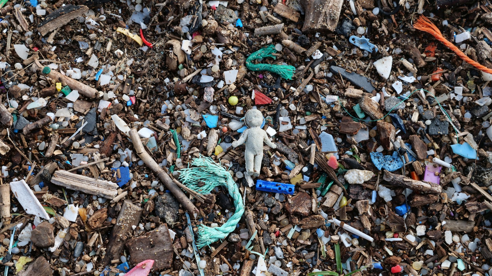 Junk removal services in Milton, Toronto.